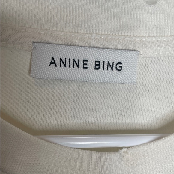 Anine Bing Women’s Cade Northern Lights Graphic Tee Sz S oversized distressed - Picture 3 of 7